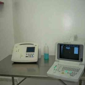 Centro de Urgencias Veterinarias de Vigo ecografo y electrocardiografo